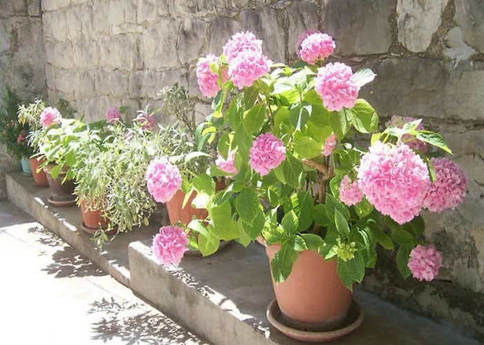 Josip Apartment Split