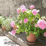 Josip Apartment Split